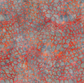 Fire - 1507