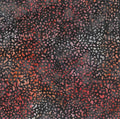 Fire - 1524