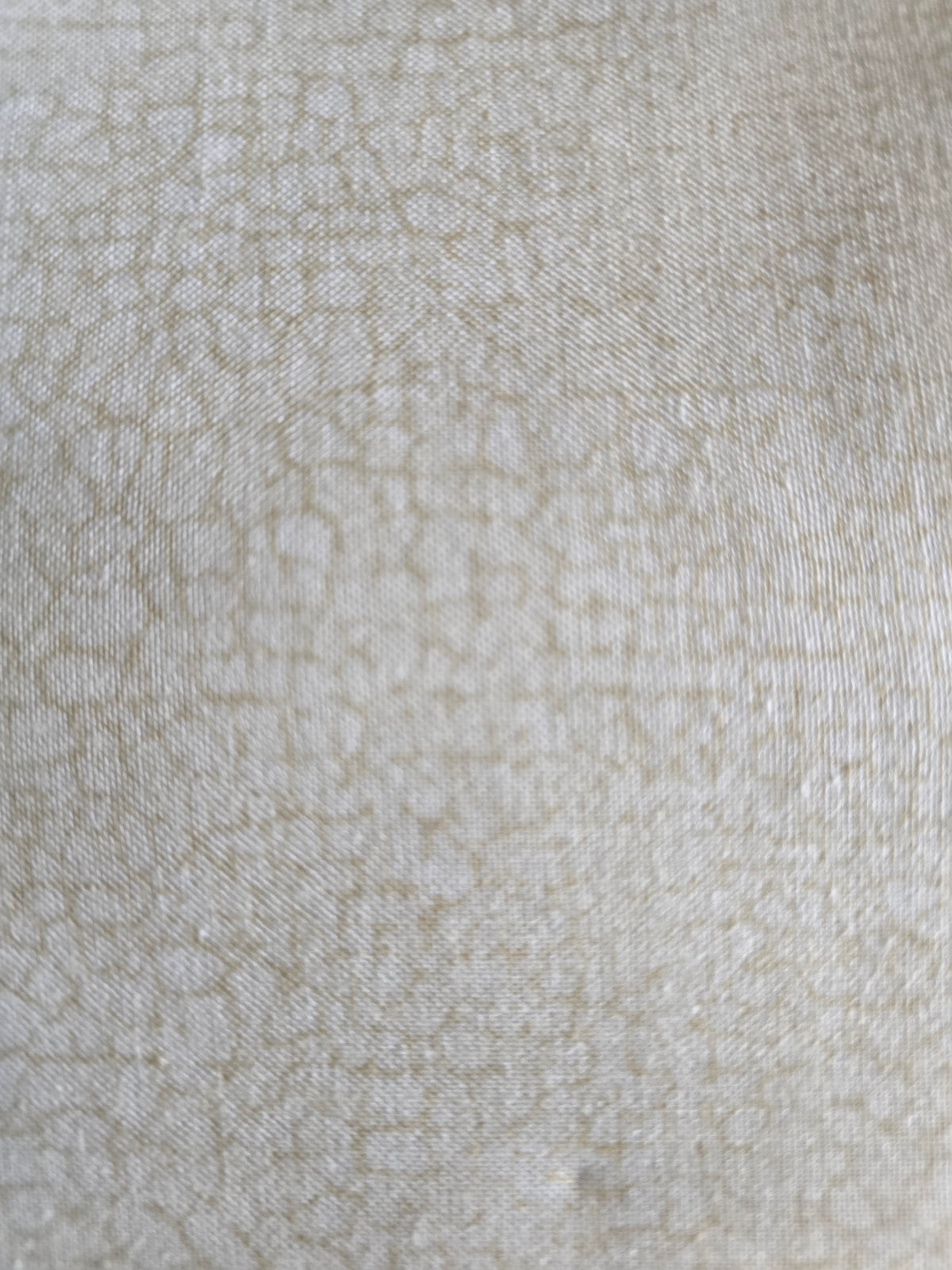 Crackle - Bamboo