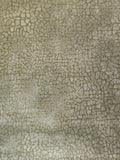 Crackle - Moss