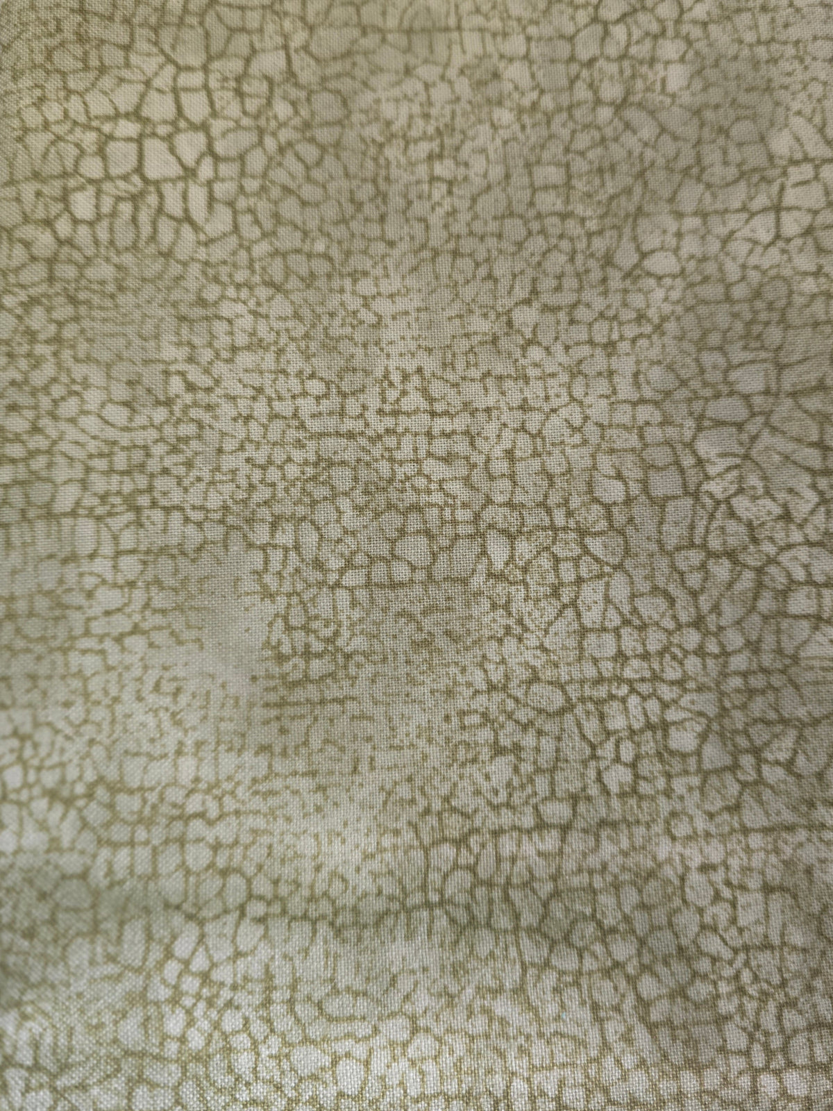 Crackle - Moss