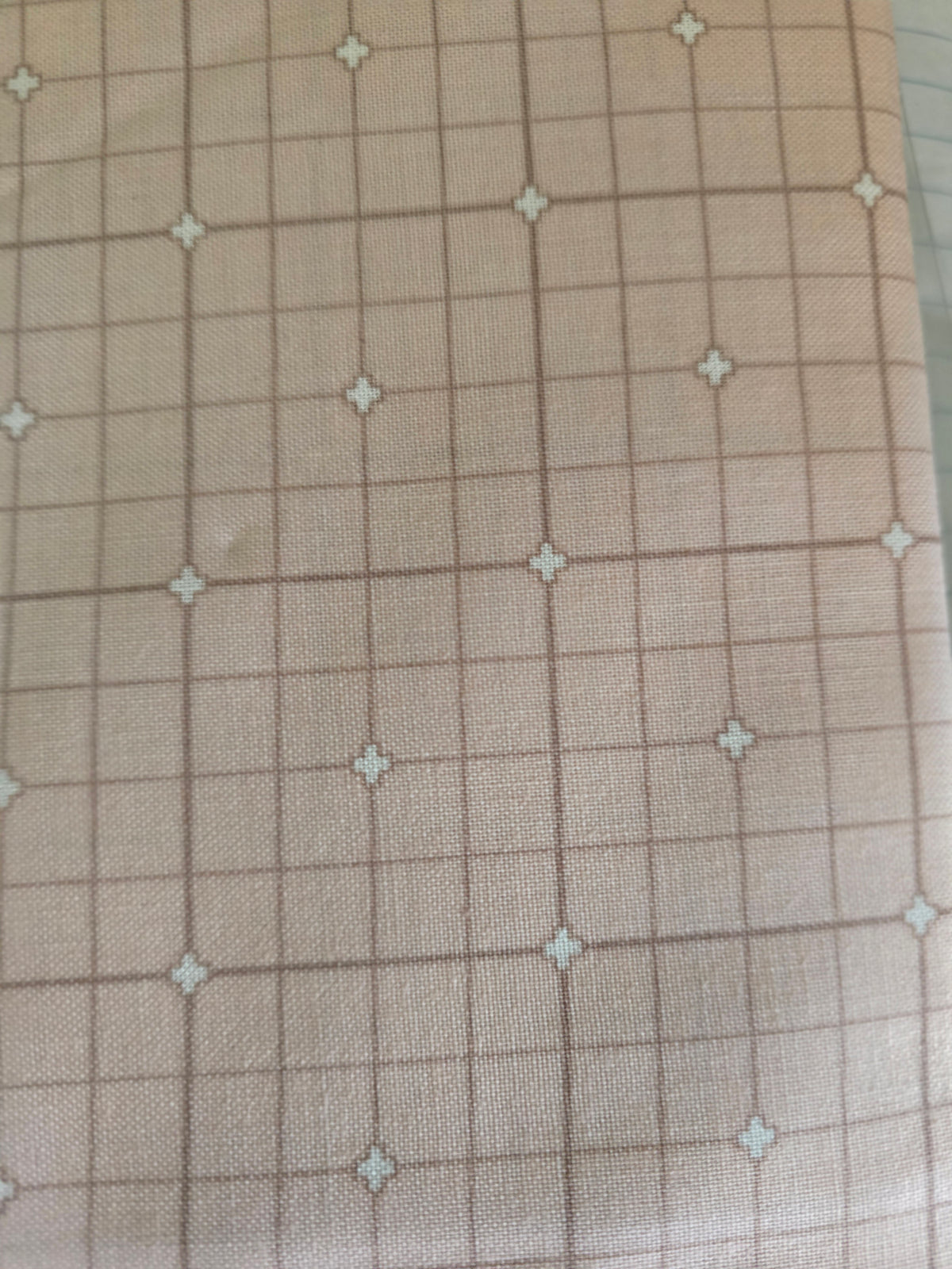 Grid Rose - Serenity