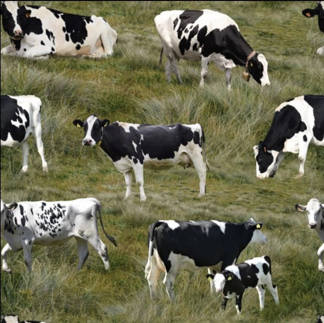 Holstein Cow Fabric