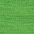 1099 - Bright Kelly Green