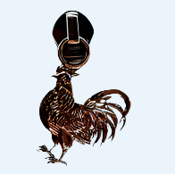 Rooster