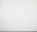 Solid White
